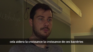 Iron acquisition by bacteria in a marine environment par Lilou Fourcade & Solena Colin