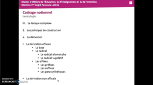 Introduction Capes Grammaire Stylistique - Le principe de dérivation - La dérivation non affixale