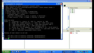 7/Analizando paquetes