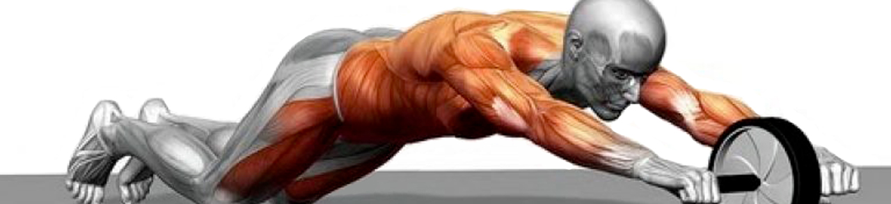 Bannière Tutos Muscu